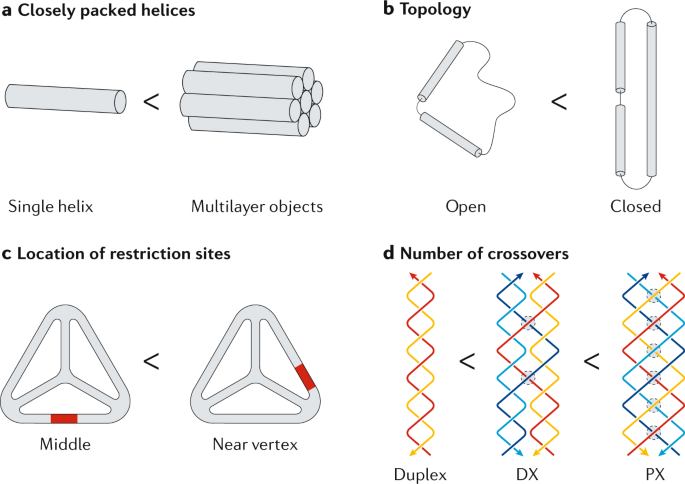 dna nanostructures