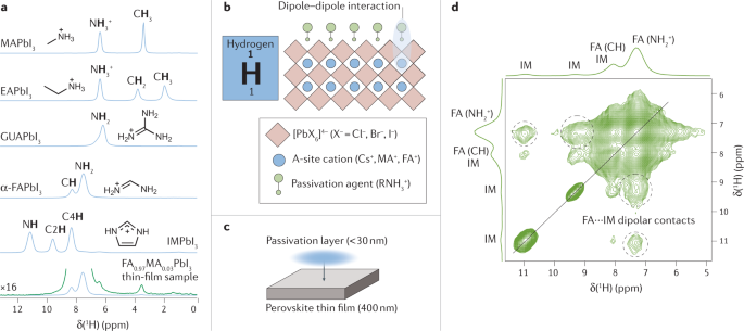 Nmr Spectroscopy Probes Microstructure Dynamics And Dog Of Metal Halide Perovskites Nature Reviews Chemistry