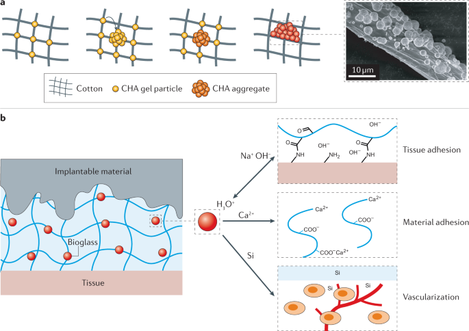 Haemostatic materials for wound healing applications | Nature 