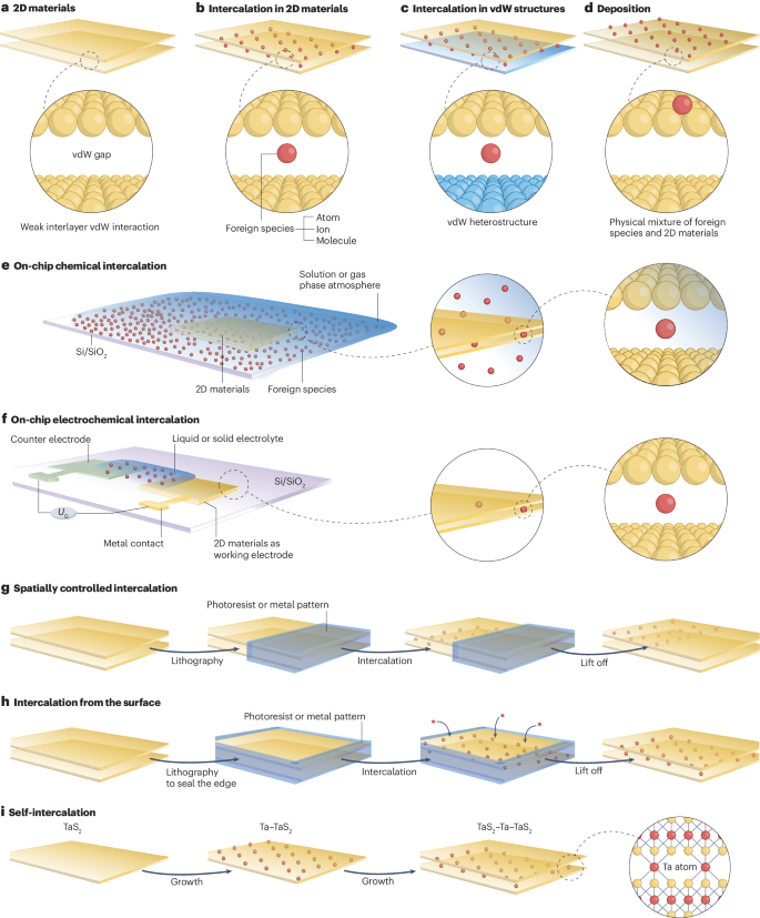 Intercalation in 2D materials and in situ studies | Nature Reviews 