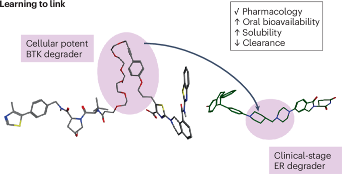 Lessons learned in linking PROTACs from discovery to the clinic ...