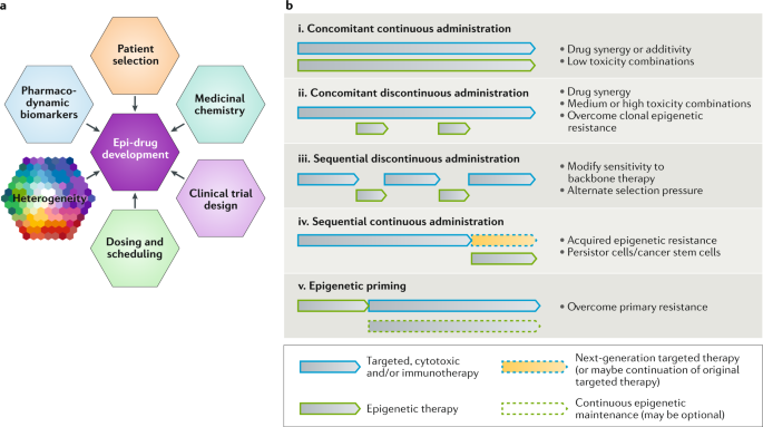 Combining Epigenetic Drugs With Other Therapies For Solid Tumours Past Lessons And Future Promise Nature Reviews Clinical Oncology