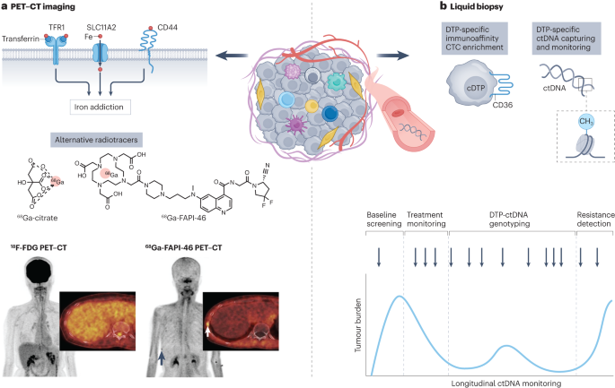 glutathione studies 2013 The Glutathione System: A Journey from Cyanobacteria to Higher Eukaryotes