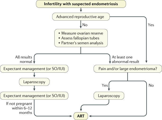 Endometriosis  Nature Reviews Disease Primers