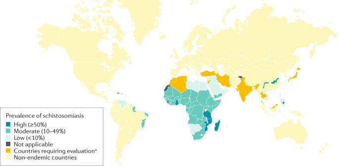 schistosomiasis malawi-tó