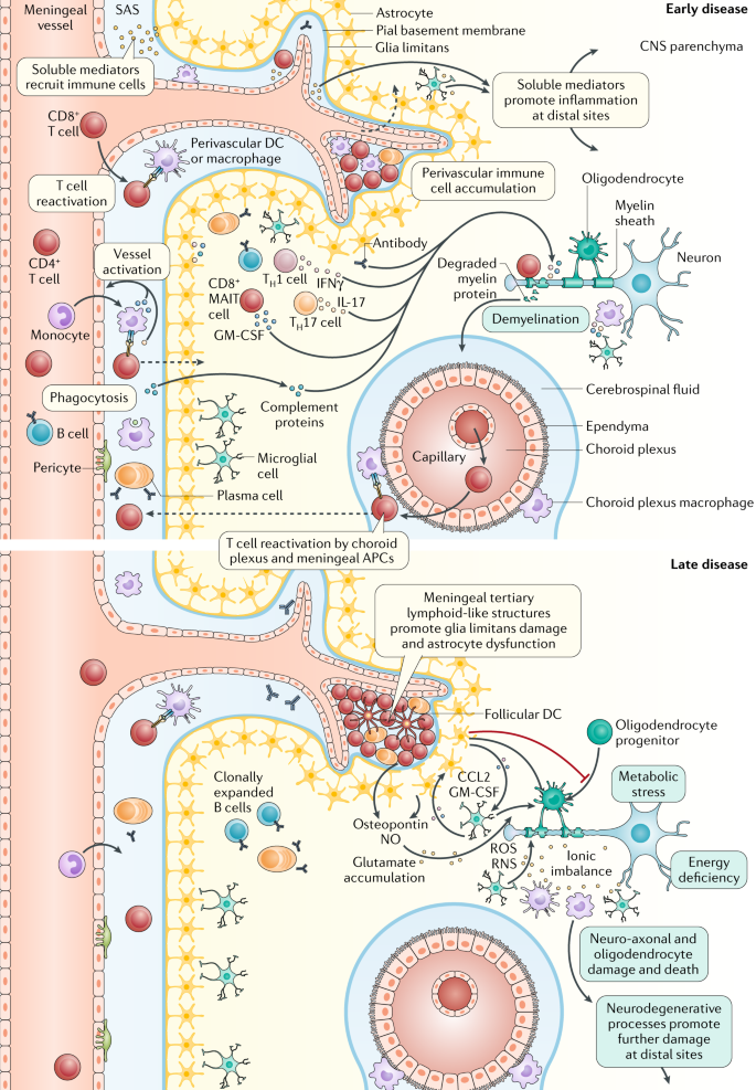 Multiple Nature Reviews Disease Primers