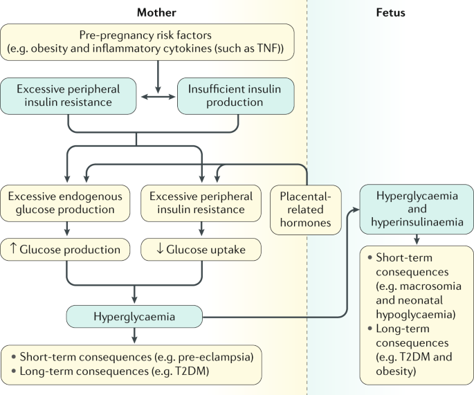 [Pregnancy in women with cystic fibrosis: 14 case reports and literature review]