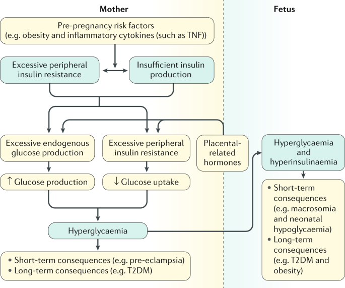 gestational diabetes uptodate)