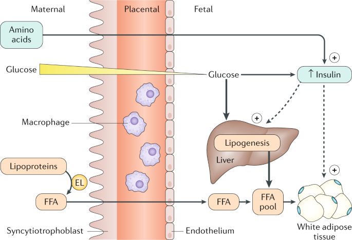 pneumonia kezelésében a háttérben a cukorbetegség a kezelés a gyermek hideg diabetes mellitus