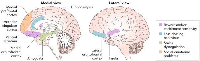 Gambling disorder | Nature Reviews Disease Primers