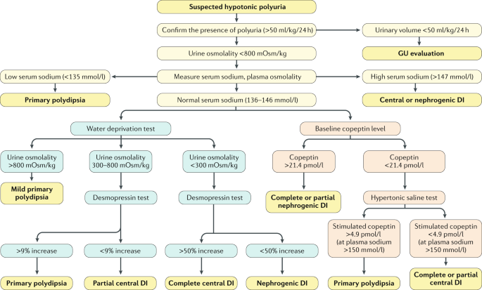 diabetes insipidus diagnosis uptodate)