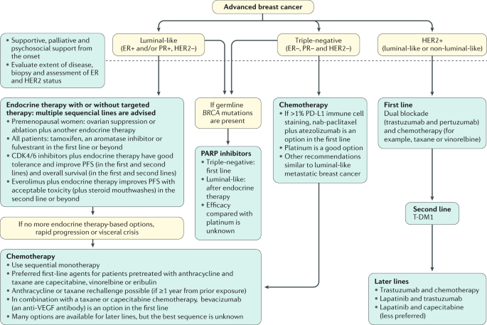 Breast cancer | Nature Reviews Primers