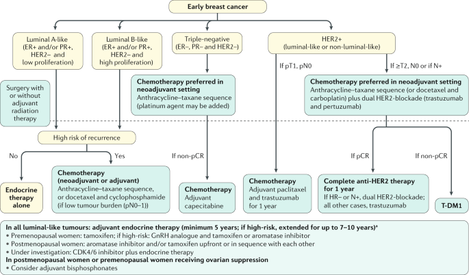 Breast Cancer Nature Reviews Disease Primers