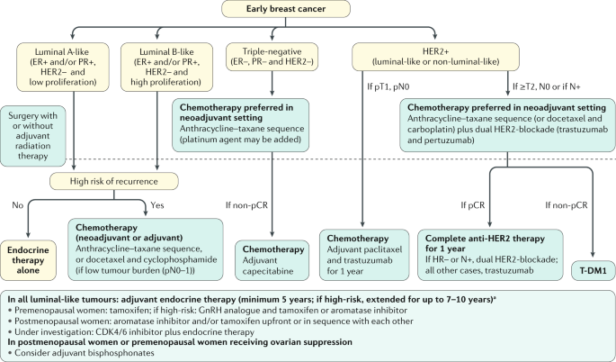 Breast cancer | Nature Reviews Primers