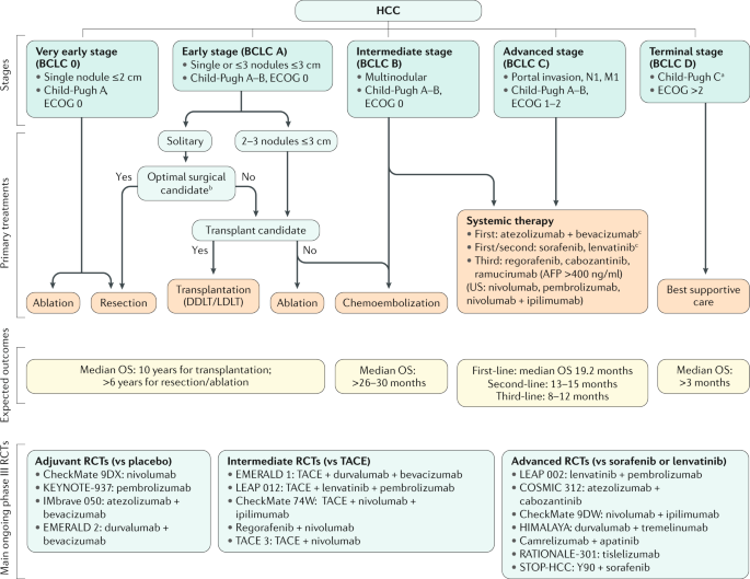 Hepatocellular Carcinoma Nature Reviews Disease Primers Hepatocellular Carcinoma Nature Reviews Disease Primers