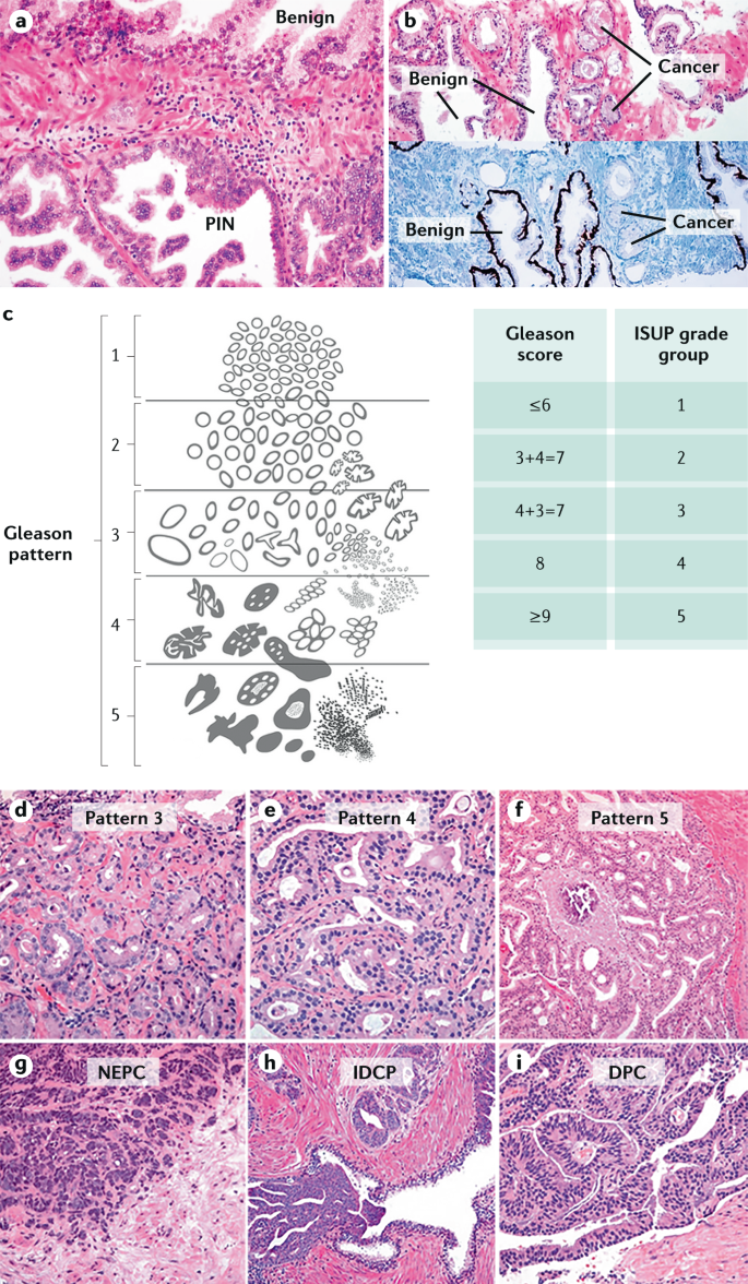 Clinical trials