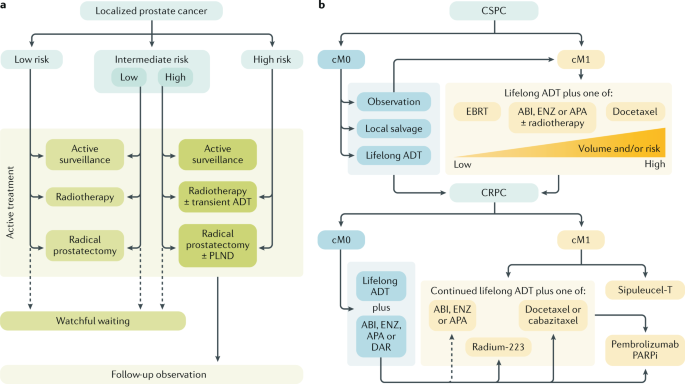 prostate cancer review article 2021)