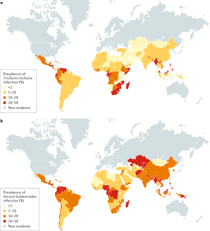 helminth disease burden)