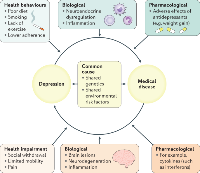 Comorbidities meaning