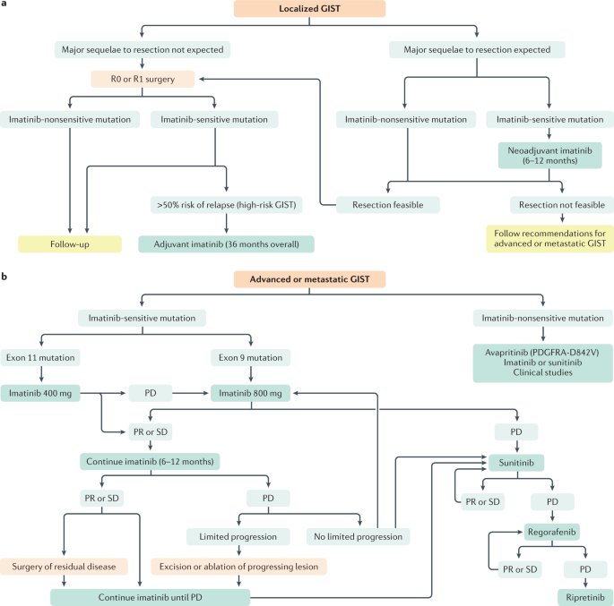 Gastrointestinal Stromal Tumours Nature Reviews Disease Primers