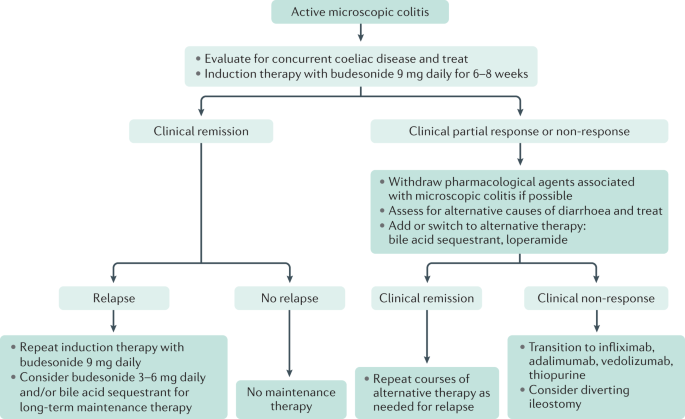 Microscopic colitis | Nature Reviews Disease Primers