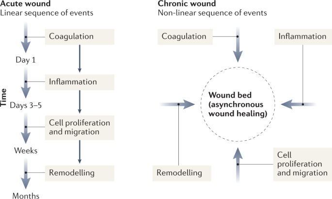 CureFaster Wound Care Device - Natural Healing For Diabetes, Bedsores & Chronic Wounds