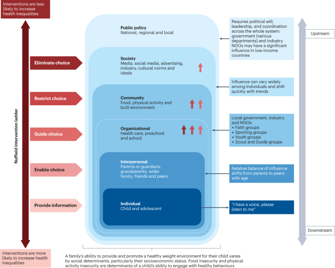 primary research article on childhood obesity figure 5