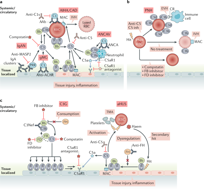 Clinical Promise Of Next Generation Complement Therapeutics Nature Reviews Drug Discovery
