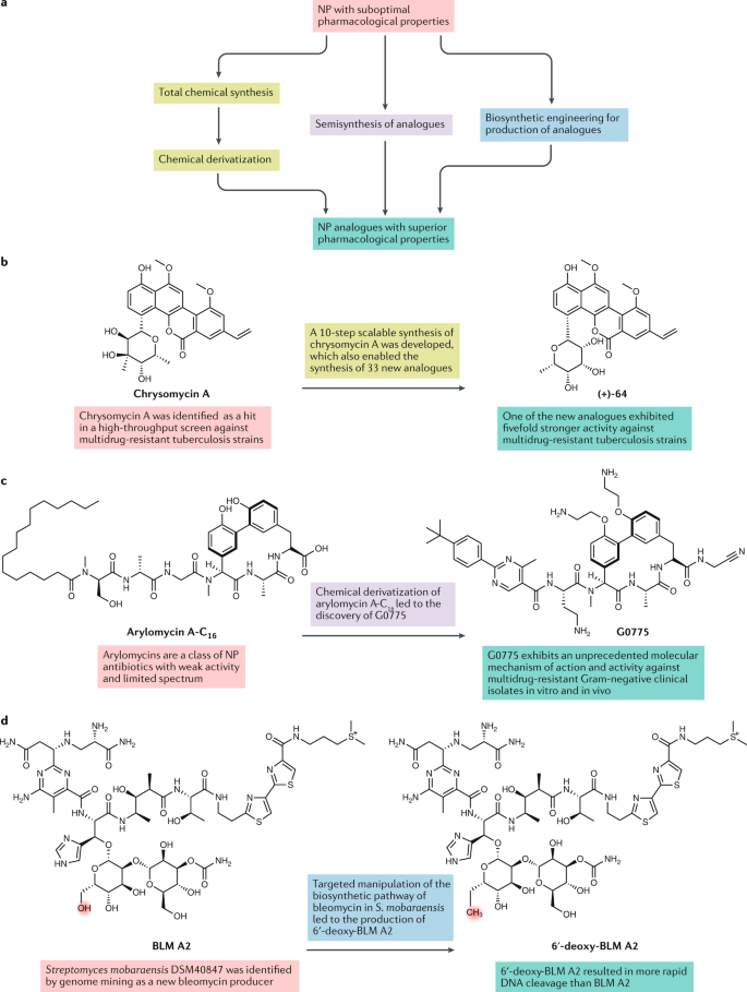 Natural Products as Platforms To Overcome Antibiotic Resistance