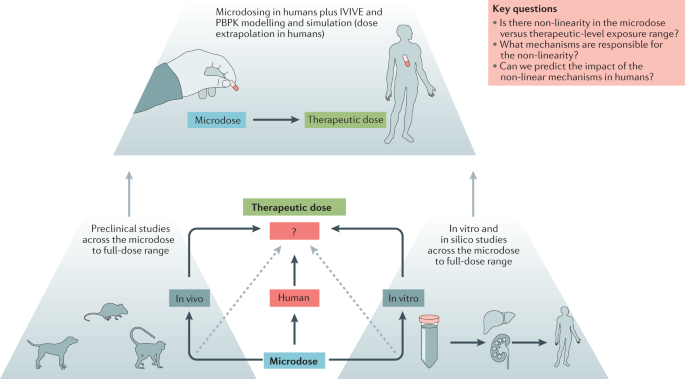 Phase 0/microdosing approaches: time for mainstream application in drug development? | Nature Reviews Drug Discovery Phase 0/microdosing approaches: time for mainstream application in drug development? | Nature Reviews Drug Discovery