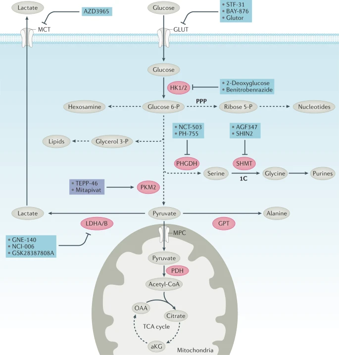 https://media.springernature.com/lw685/springer-static/image/art%3A10.1038%2Fs41573-021-00339-6/MediaObjects/41573_2021_339_Fig2_HTML.png?as=webp