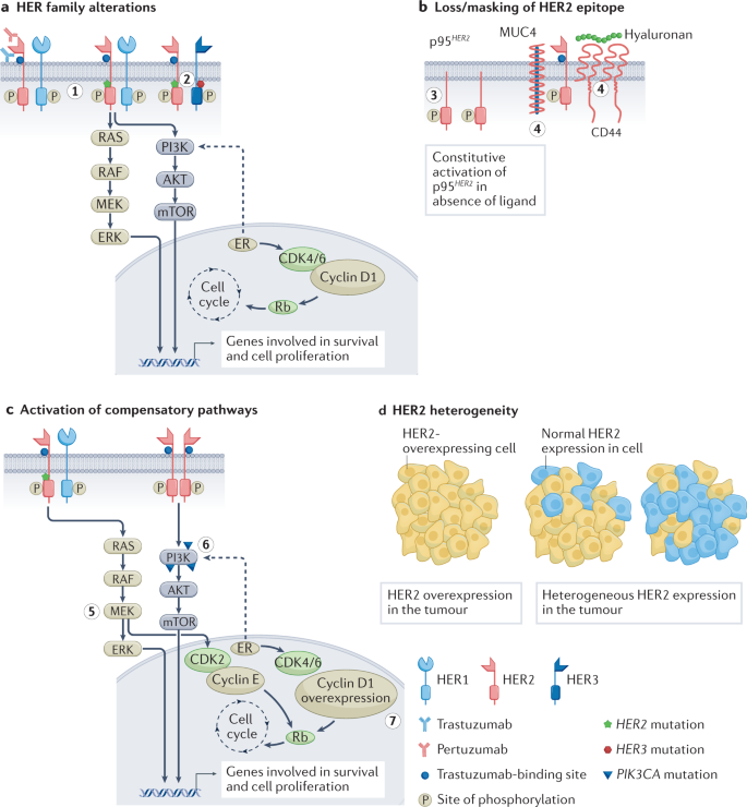 research project on breast cancer figure 2