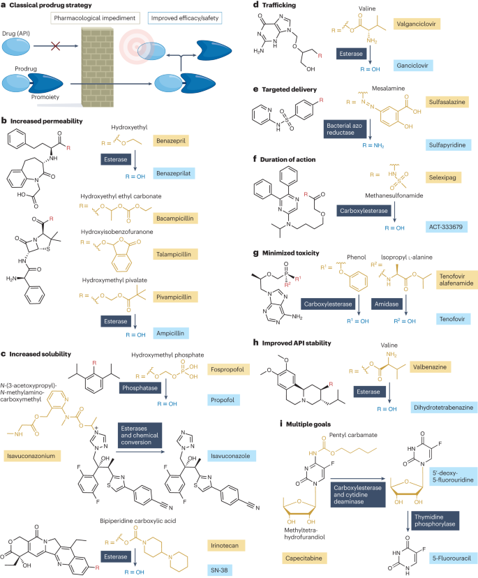 glutathione and adderall The landscape of small-molecule prodrugs
