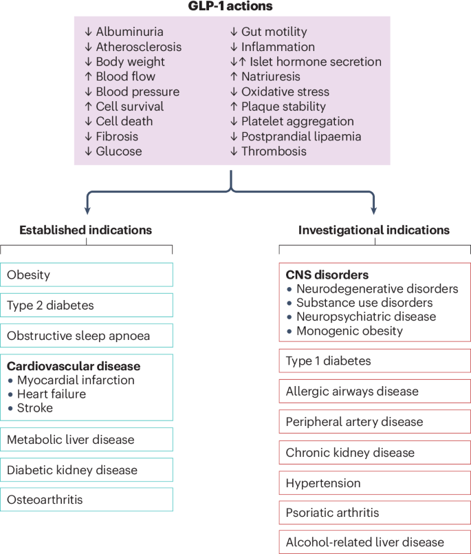 examples of glp-1 drugs GLP-1-based therapies for diabetes, obesity and beyond