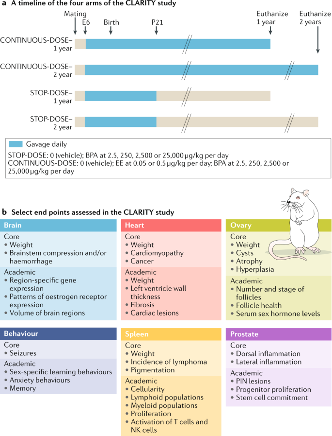 Endocrine Disruptors And The Future Of Toxicology Testing Lessons From Clarity Bpa Nature Reviews Endocrinology