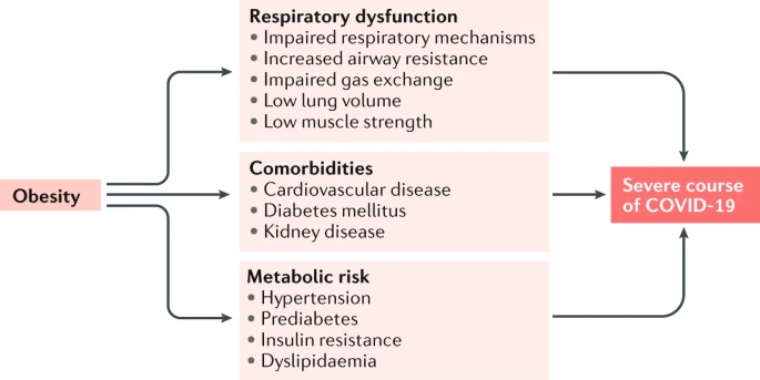 figure1