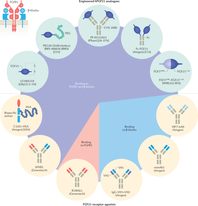 retatrutide tirzepatide semaglutide main difference between semaglutide and tirzepatide Tirzepatide vs.  Semaglutide: Which GLP-1 Delivers Better Weight Loss?