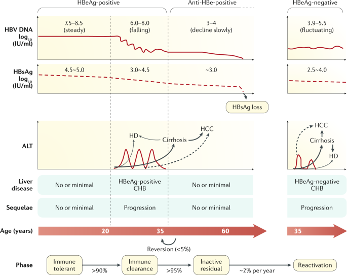 Clinical Utility Of Hbv Surface Antigen Quantification In Hbv E Antigen Negative Chronic Hbv Infection Nature Reviews Gastroenterology Hepatology
