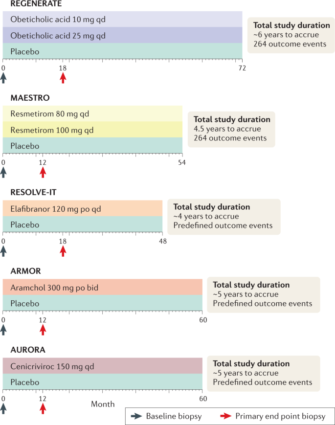 Therapeutic pipeline in nonalcoholic steatohepatitis
