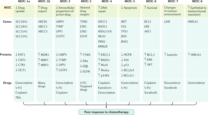 Cholangiocarcinoma 2020: the next horizon in mechanisms and management |  Nature Reviews Gastroenterology & Hepatology