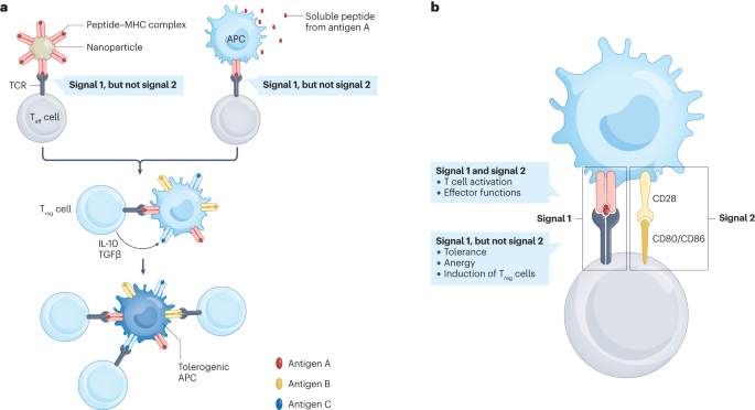 ghk-cu mechanism of action tolerance desensitization Tolerance-inducing therapies in coeliac disease — mechanisms, progress and  future directions