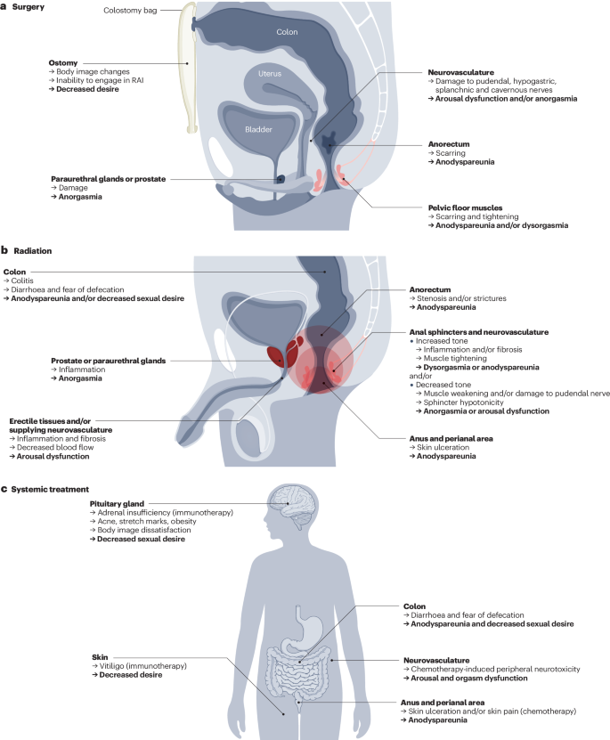 Pleasurable and problematic receptive anal intercourse and ...