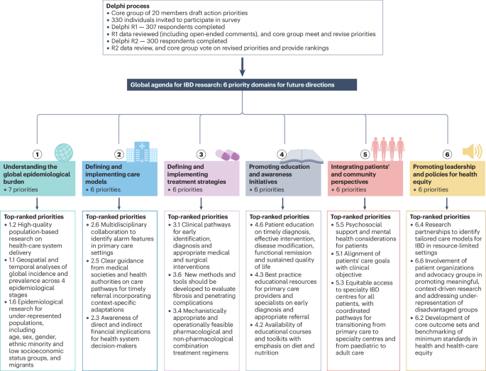 Fig. 1: Global agenda for IBD research: priority domains for future directions.