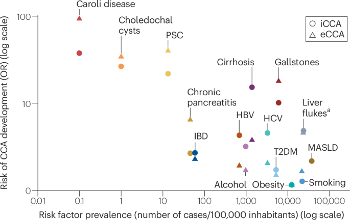 Fig. 3: Risk factors for cholangiocarcinoma.