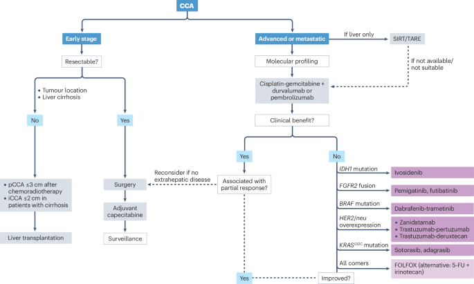 Fig. 5: Clinical decisions and management of CCA.