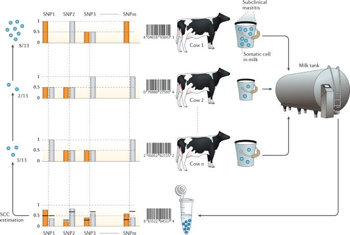 Harnessing Genomic Information For Livestock Improvement Nature Reviews Genetics