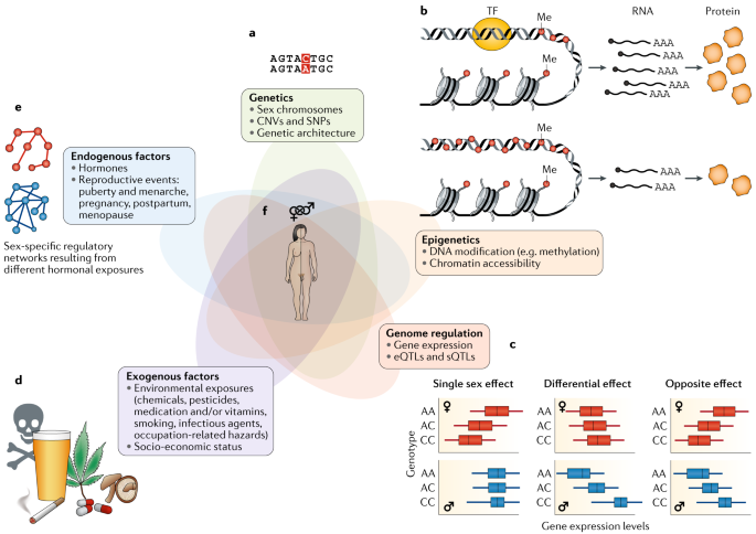 the role of sex in the genomics of human complex traits venn diagram of single gene traits and polygenic traits