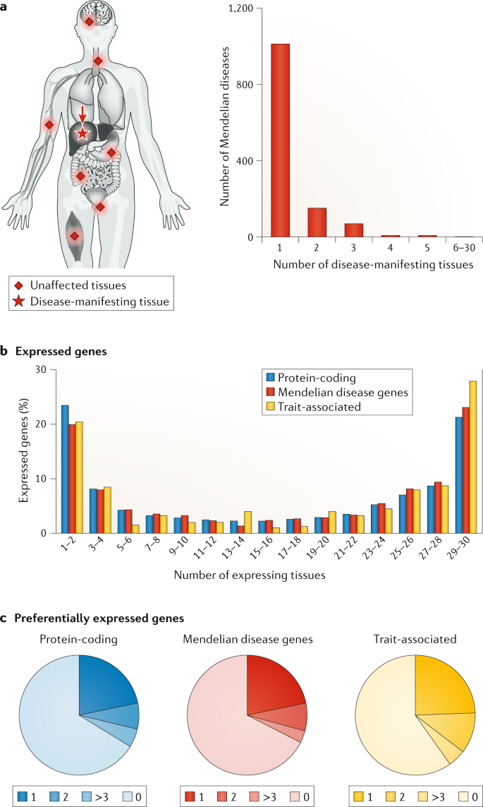 Mechanisms of tissue and cell-type specificity in heritable traits and  diseases | Nature Reviews Genetics