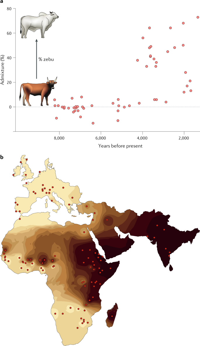 Animal domestication in the era of ancient genomics | Nature Reviews Genetics Animal domestication in the era of ancient genomics | Nature Reviews Genetics