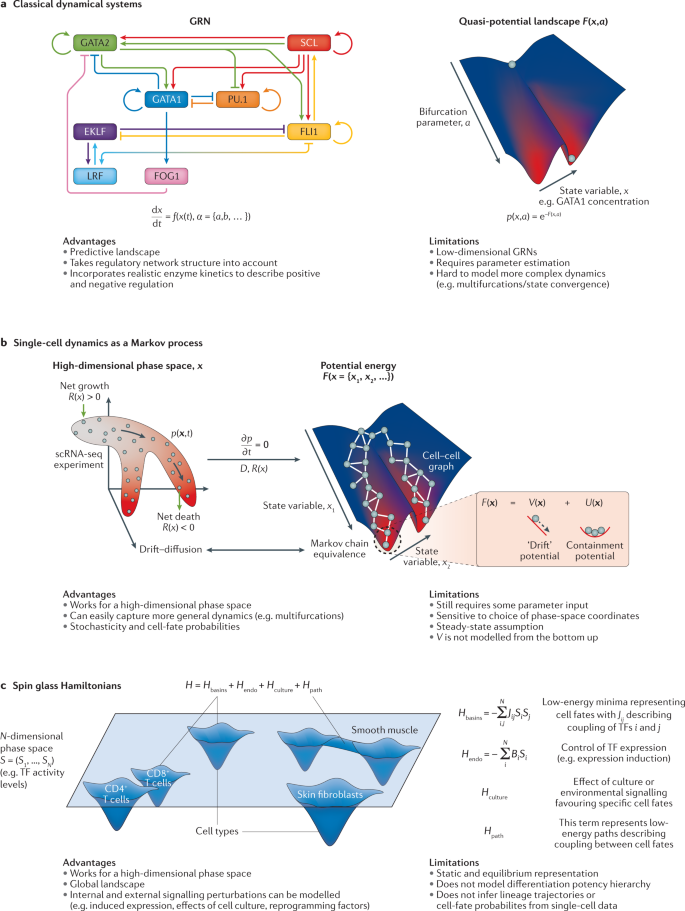 Statistical Mechanics Meets Single Cell Biology Nature Reviews Genetics